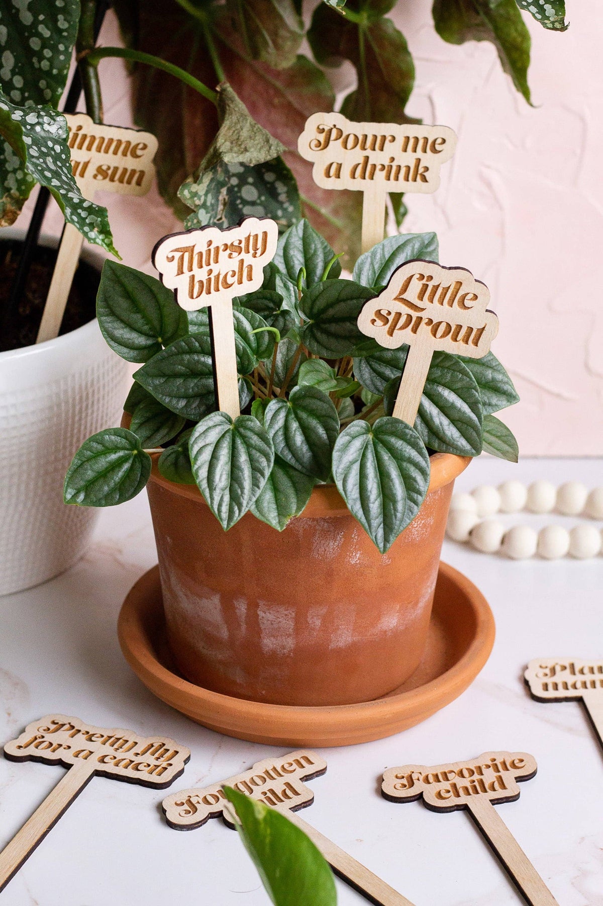 Plant Supplies