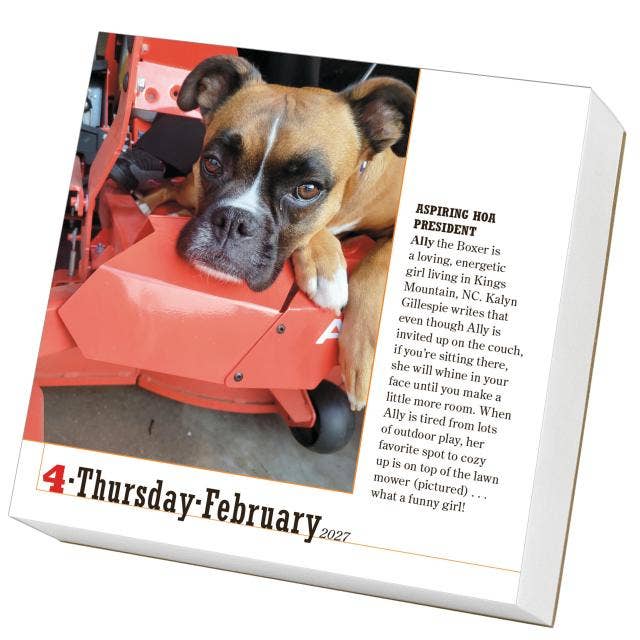 365 Dogs Page-A-Day® Calendar 2027