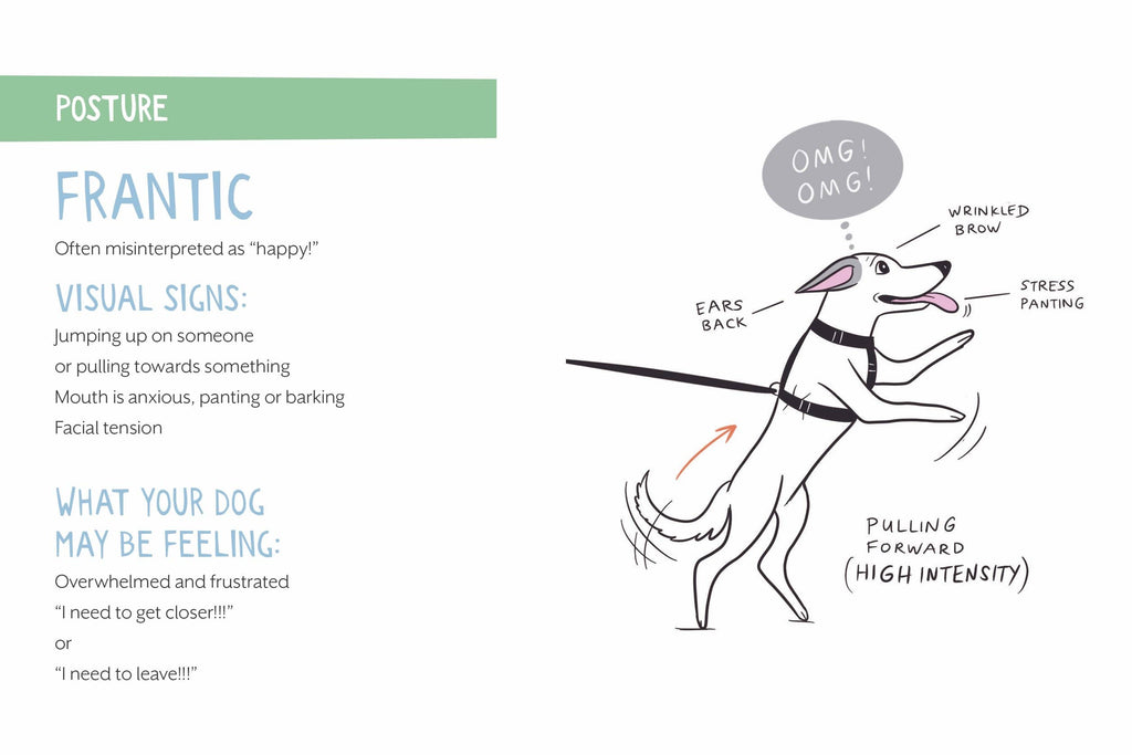 Doggie Language