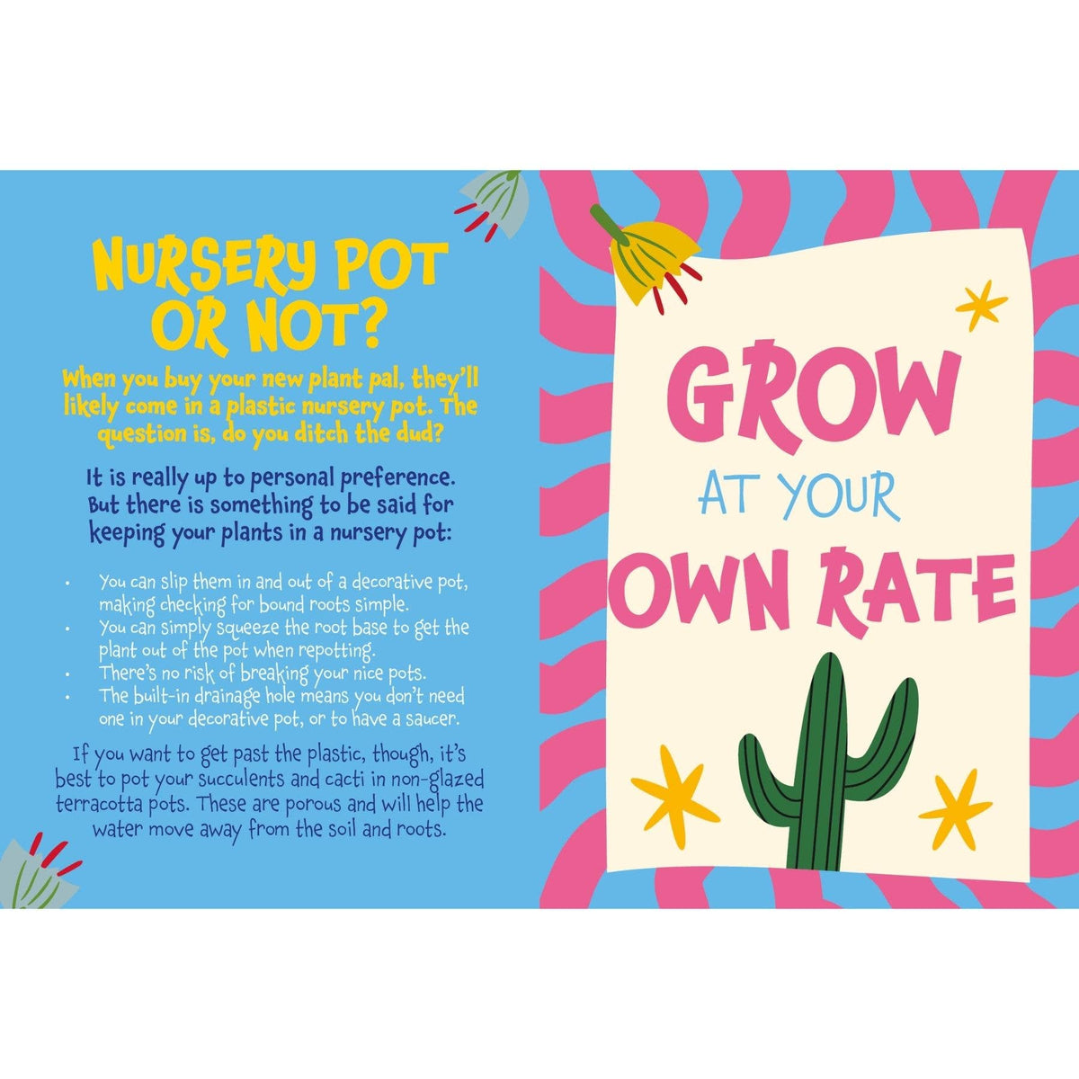 Prickly Guide to Caring for Cacti & Succulents