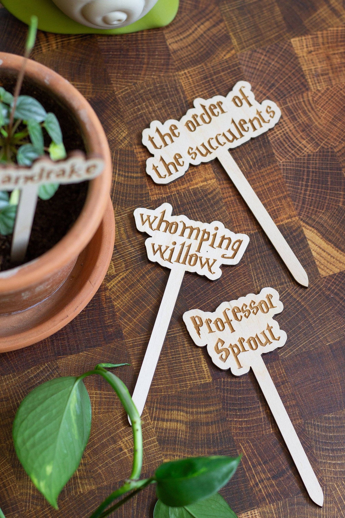Harry Potter Wooden Plant Markers
