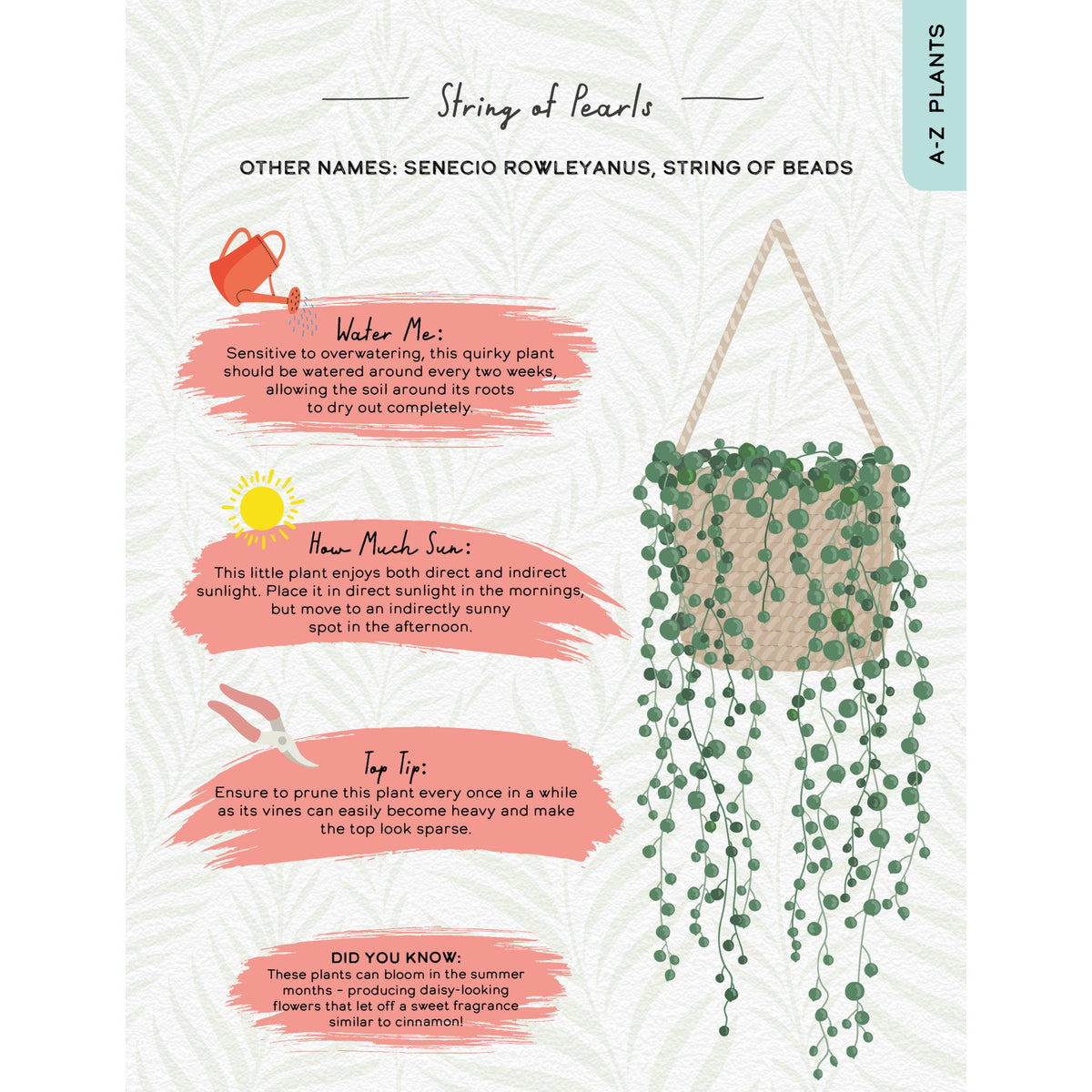 Please Don't Die - Houseplants Guide Book for Plant Moms