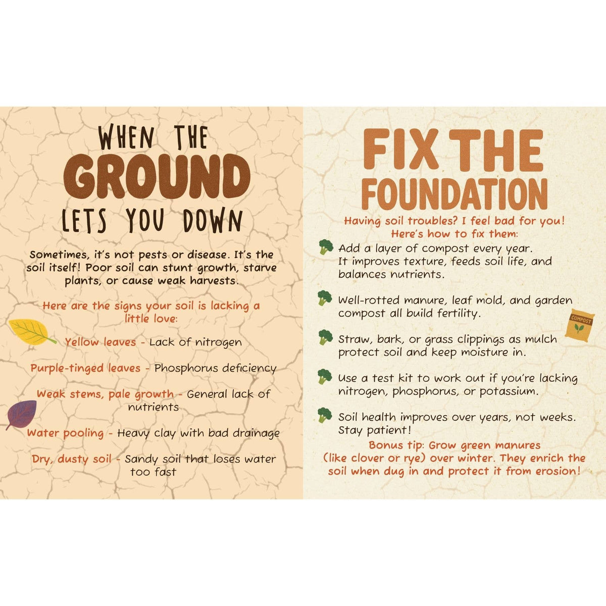 The Dirt on Veg Gardening Book – Beginner’s Guide
