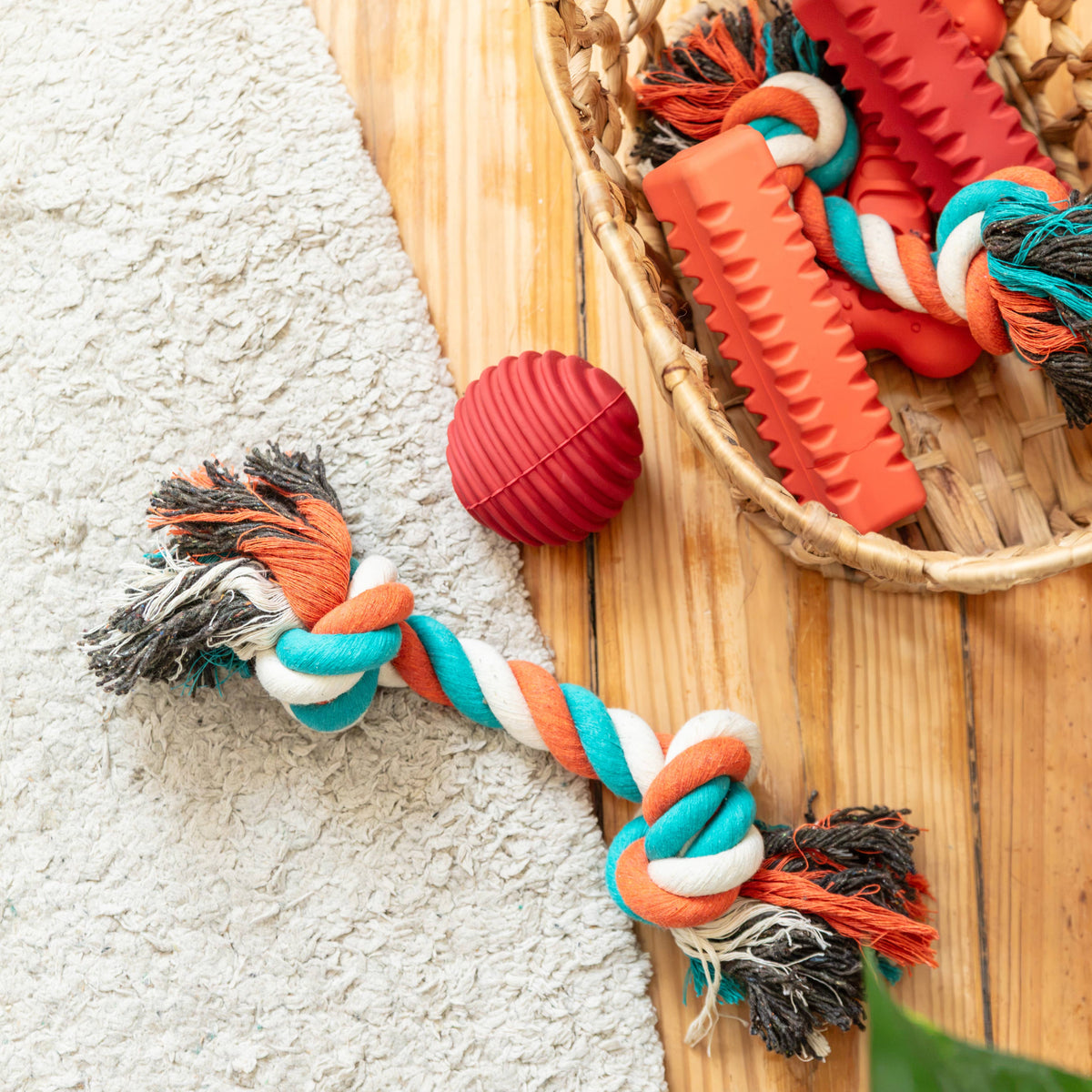 Twist Cotton Rope Tug - Grove