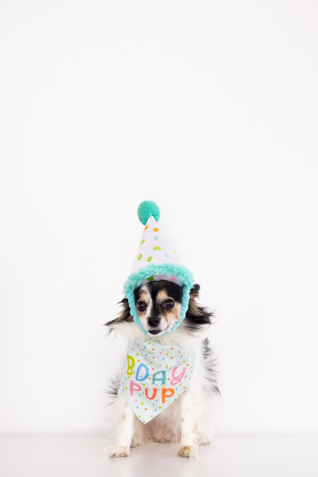 Dog Birthday Bandana and Hat Set, Birthday Pup, S/M