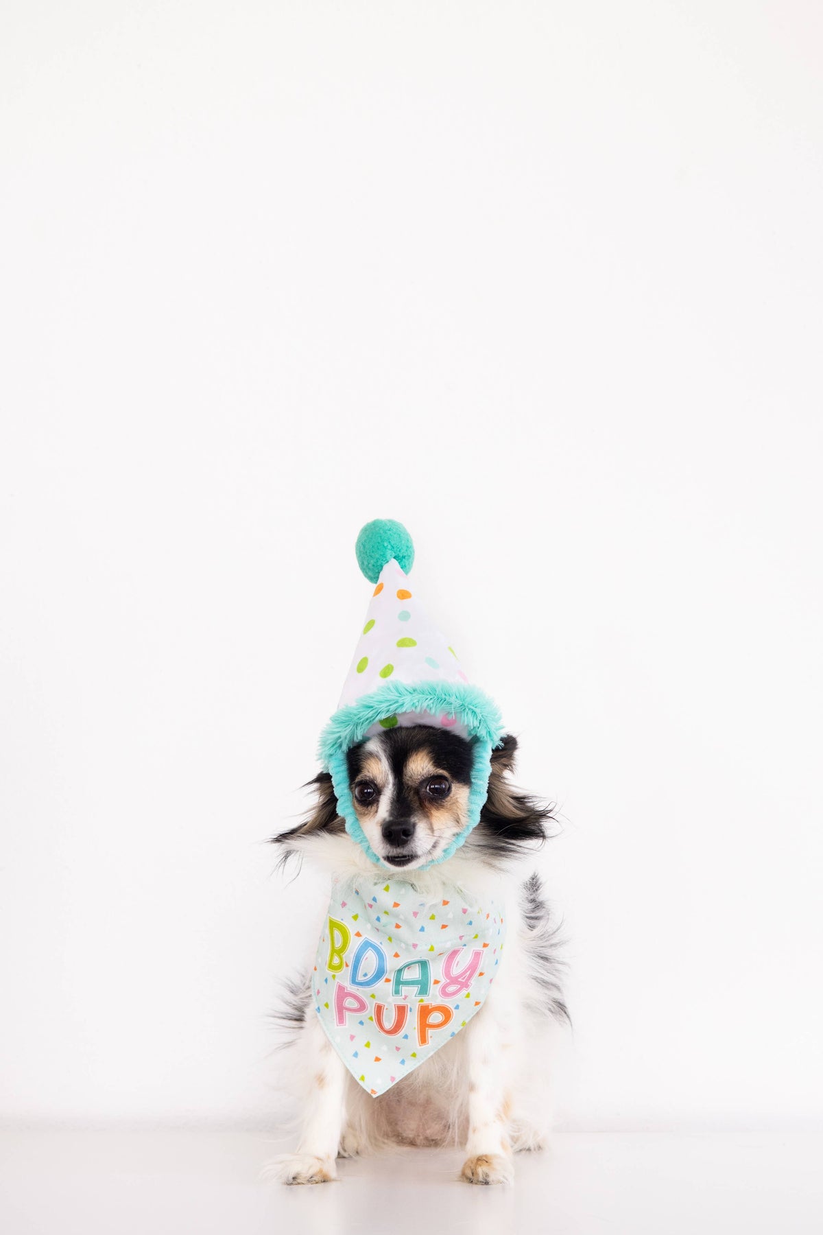 Dog Birthday Bandana and Hat Set, Birthday Pup, S/M