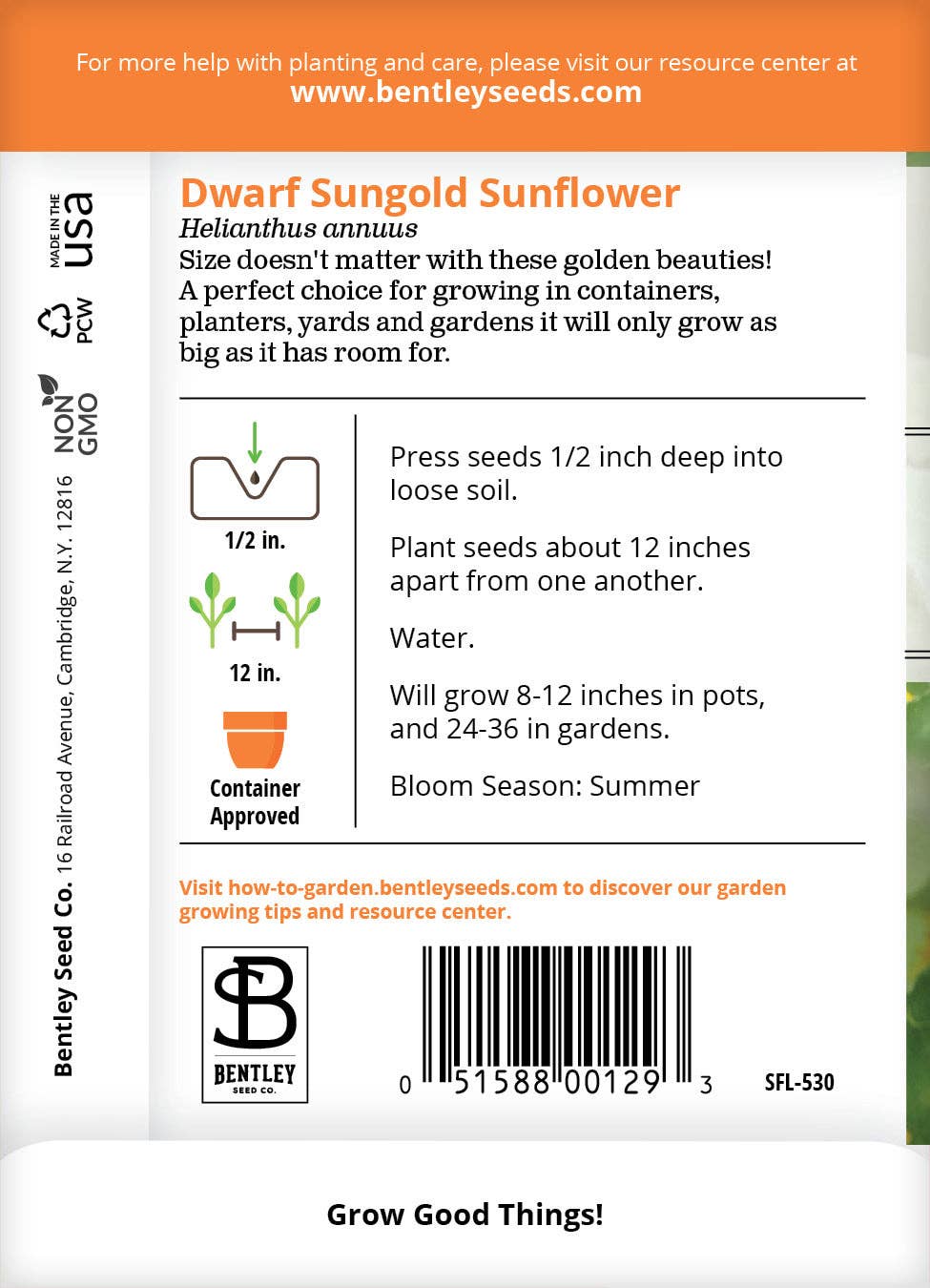 Sunflower, Dwarf Sungold Seed Packets
