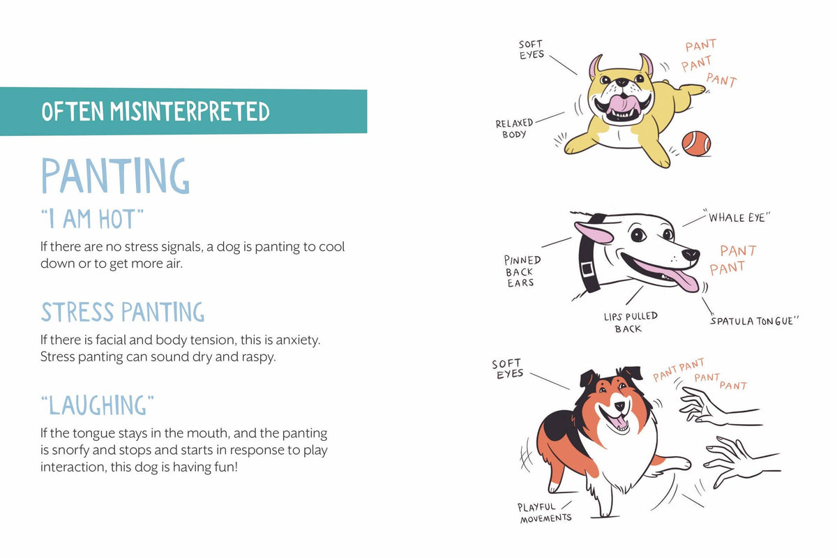Doggie Language