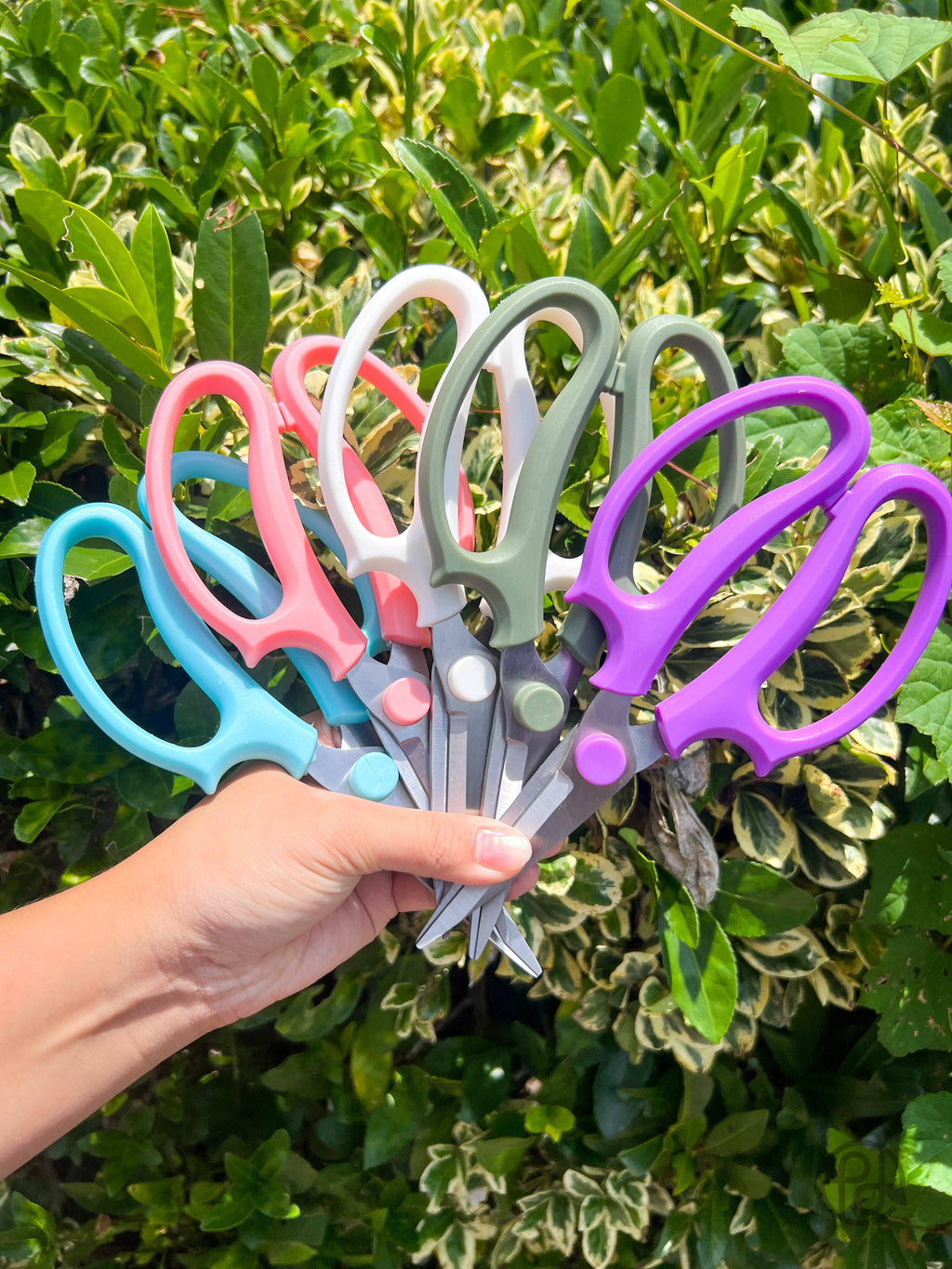 Pruning Shears