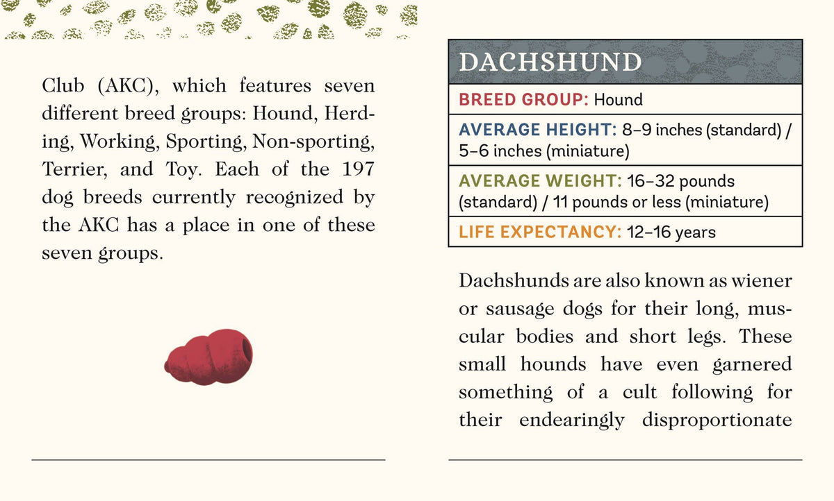 For The Love Of Dogs: A Wooden Magnet Set