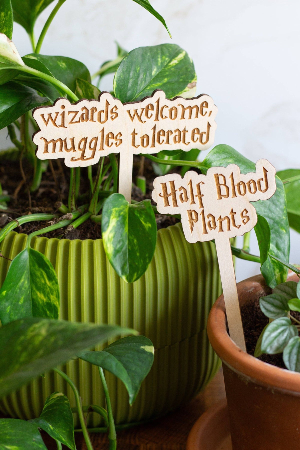 Harry Potter Wooden Plant Markers