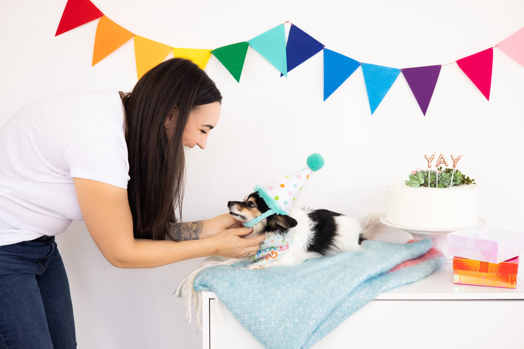 Dog Birthday Bandana and Hat Set, Birthday Pup, S/M