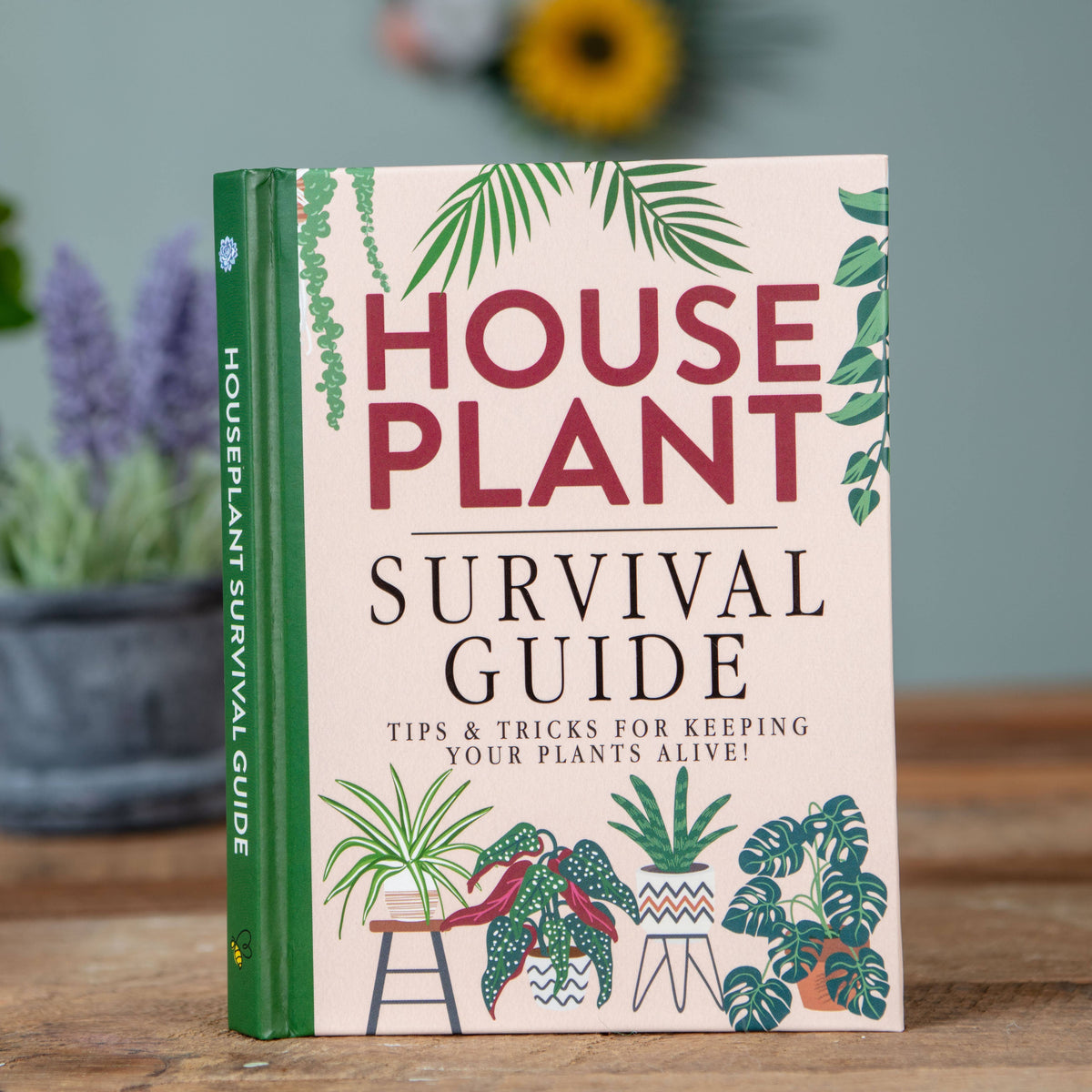 Houseplant Survival Guide Book - Plant Tips and Tricks