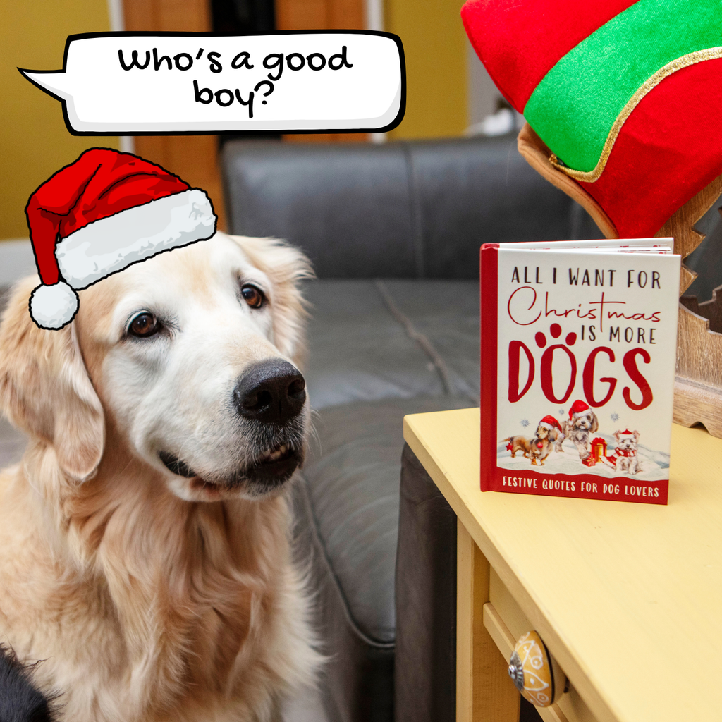 All I Want For Christmas Is More Dogs Gift Books - Dog Gifts