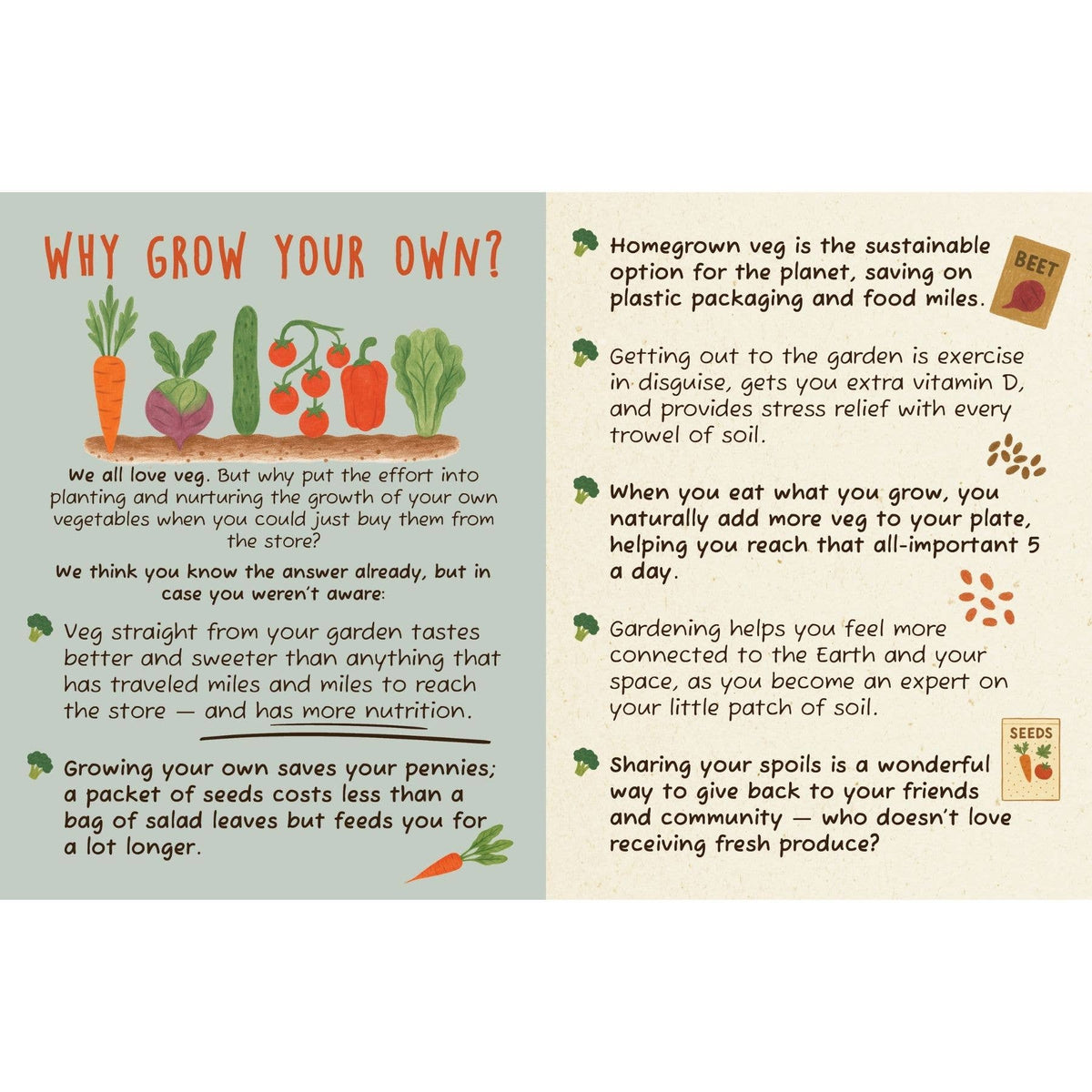 The Dirt on Veg Gardening Book – Beginner’s Guide