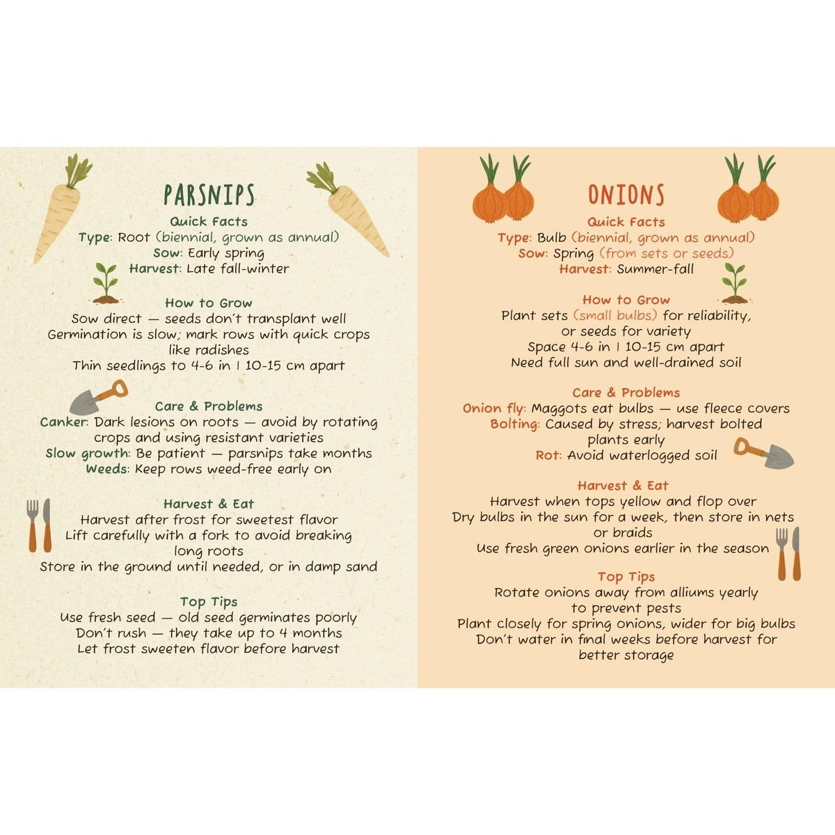 The Dirt on Veg Gardening Book – Beginner’s Guide
