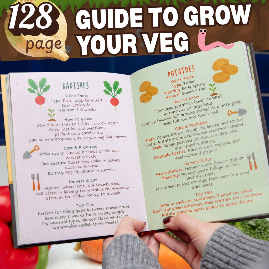 The Dirt on Veg Gardening Book – Beginner’s Guide