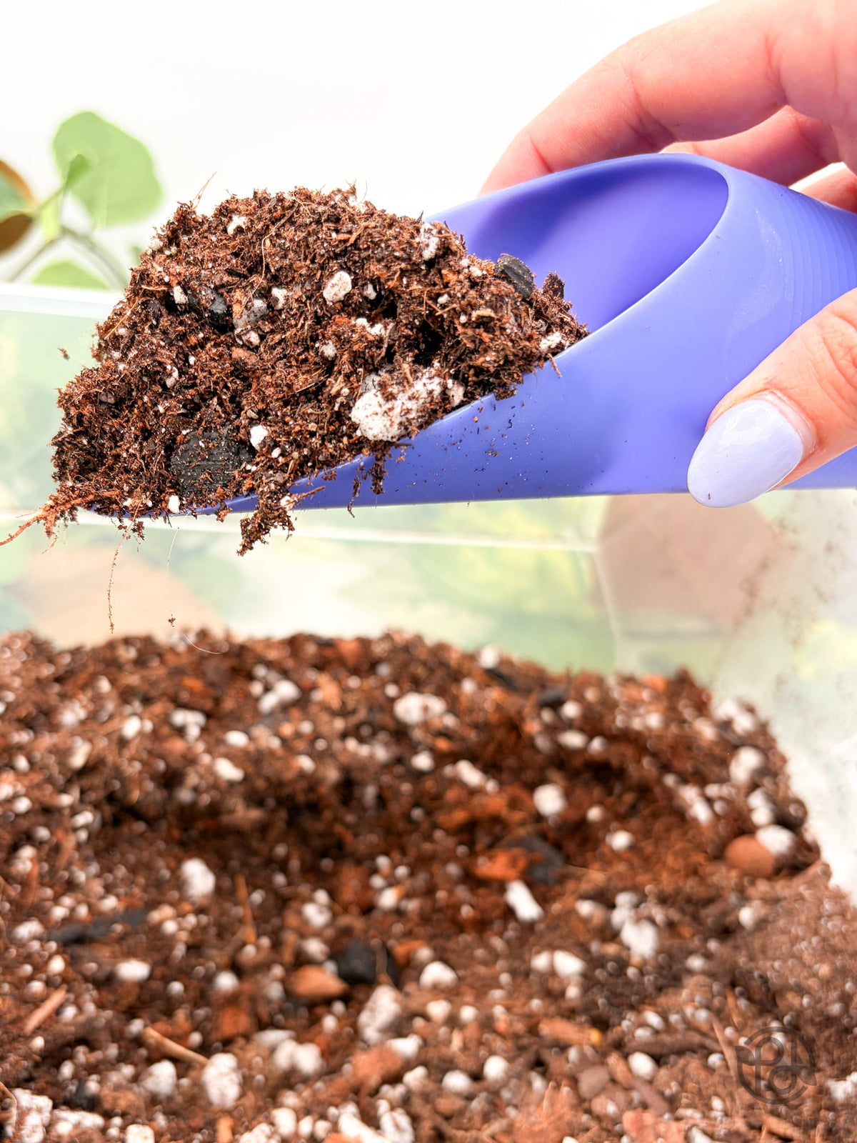 Plant Scoop