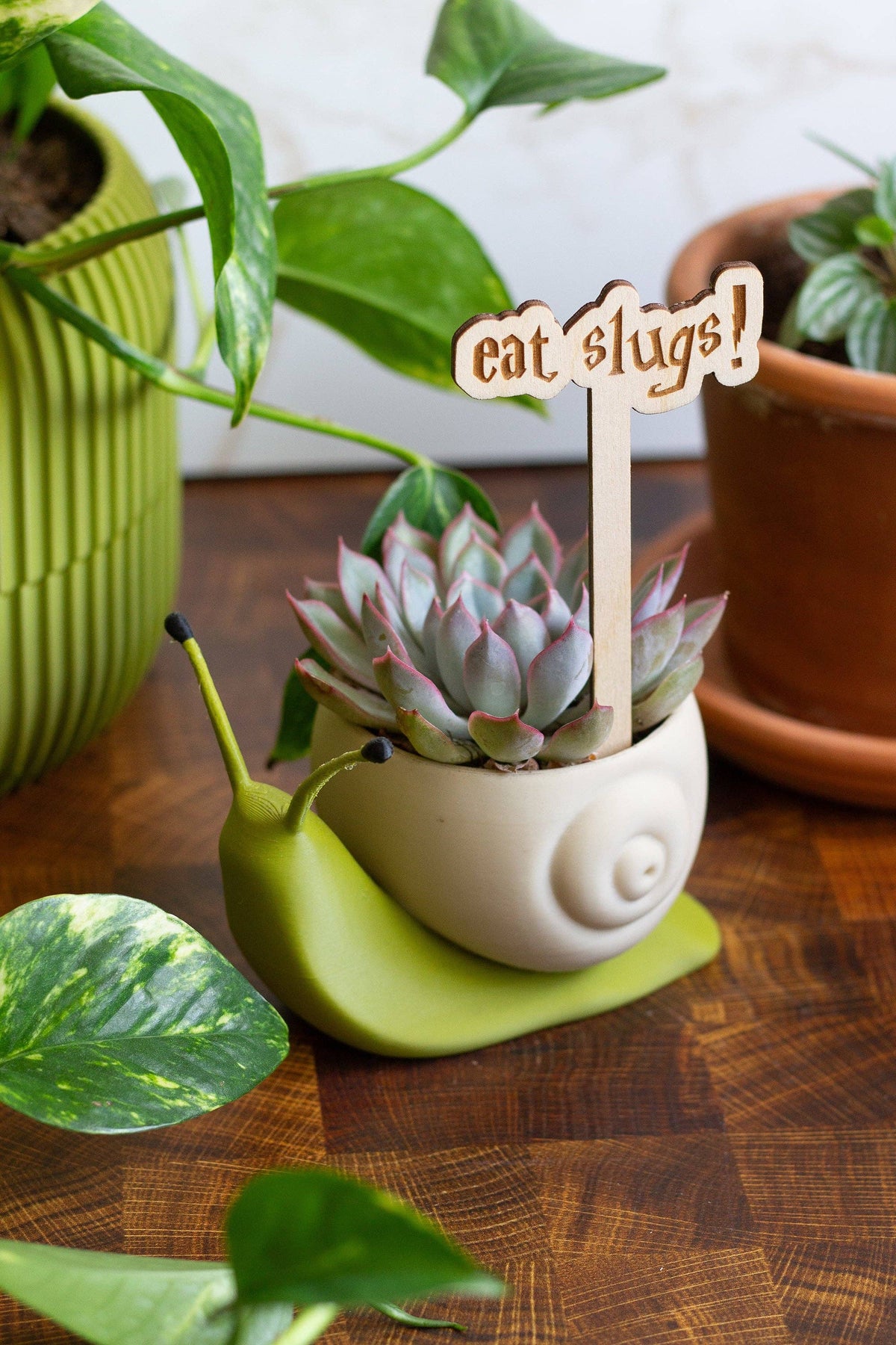 Harry Potter Wooden Plant Markers