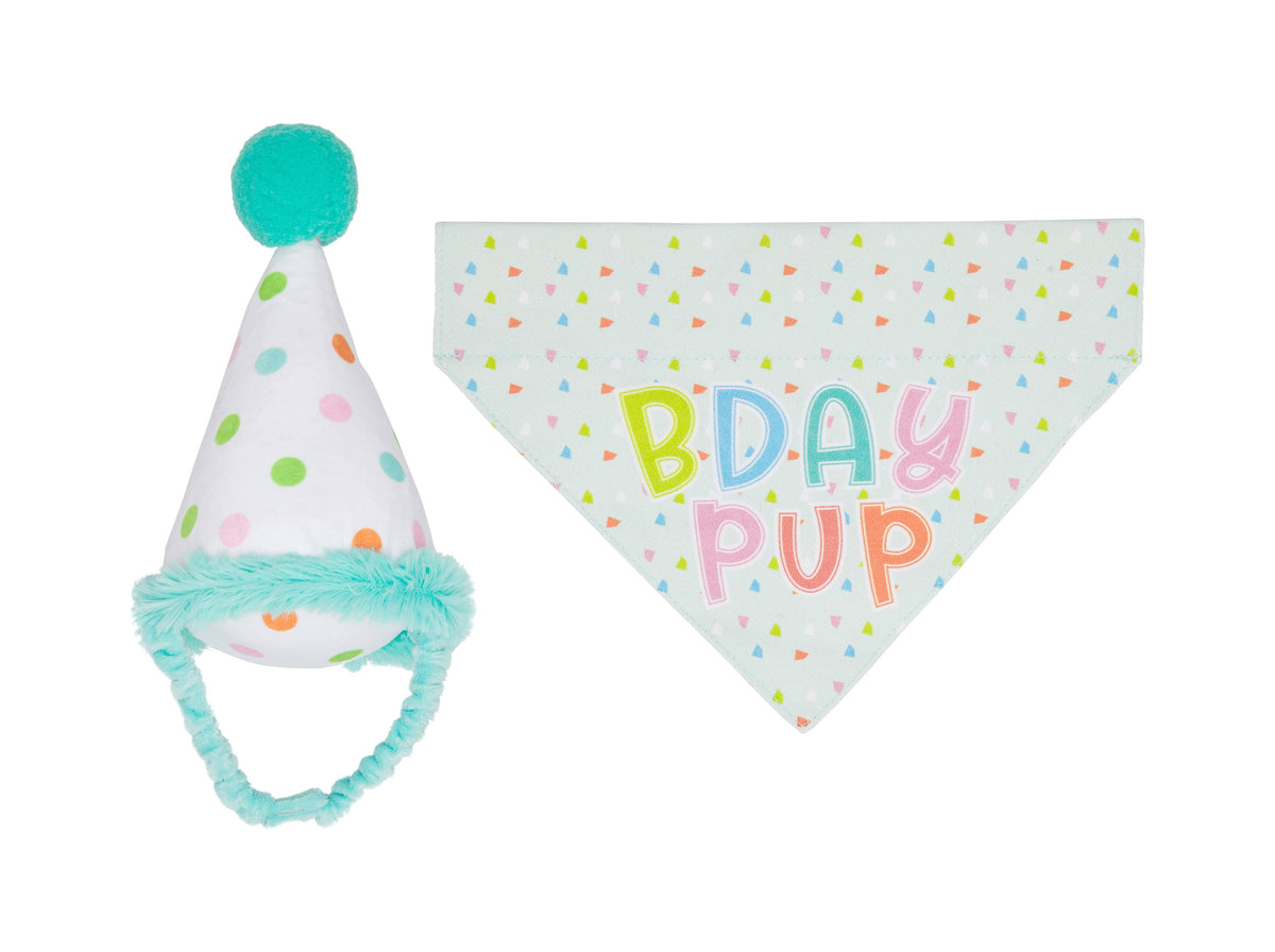 Dog Birthday Bandana and Hat Set, Birthday Pup, S/M