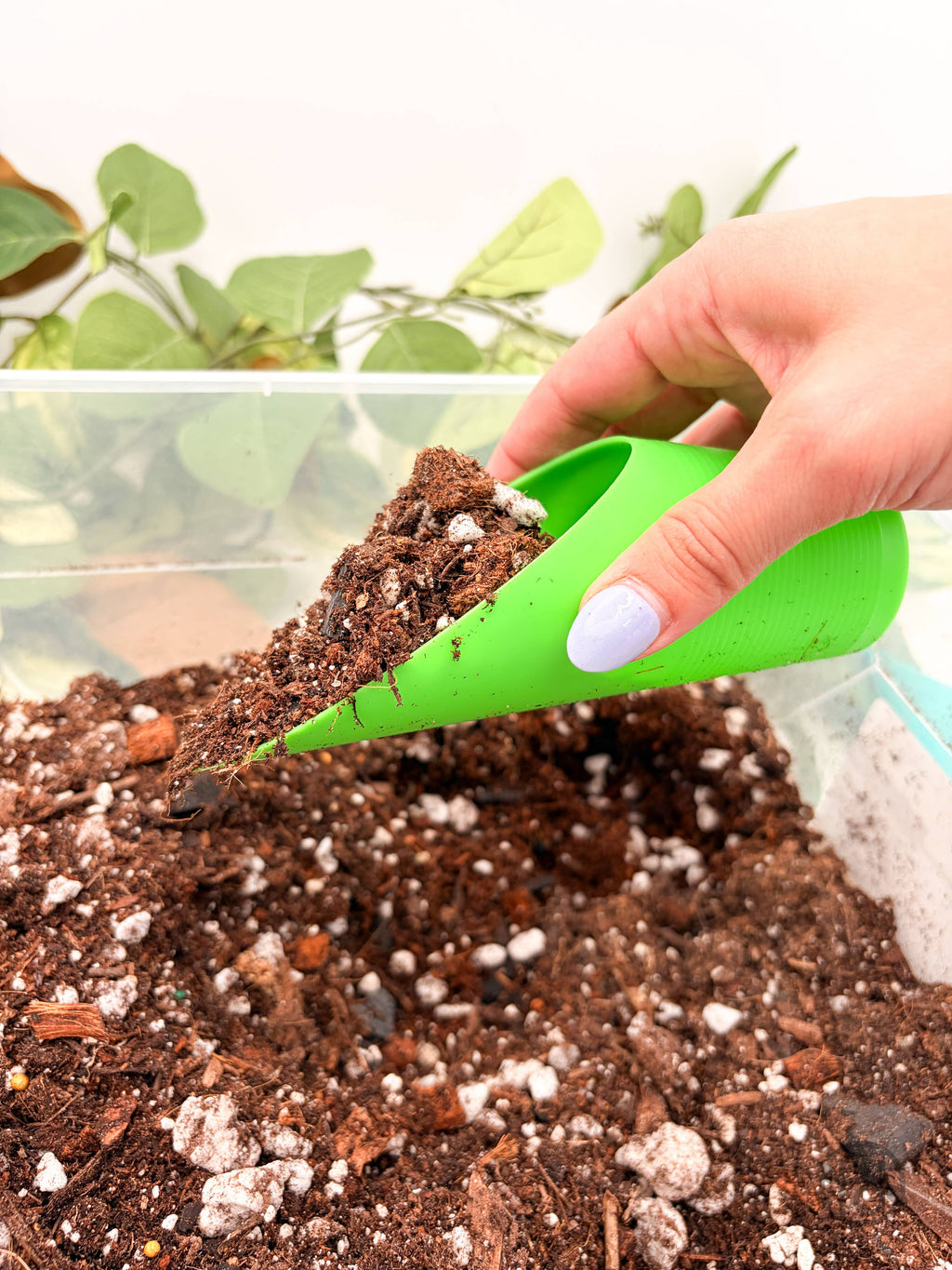 Plant Scoop
