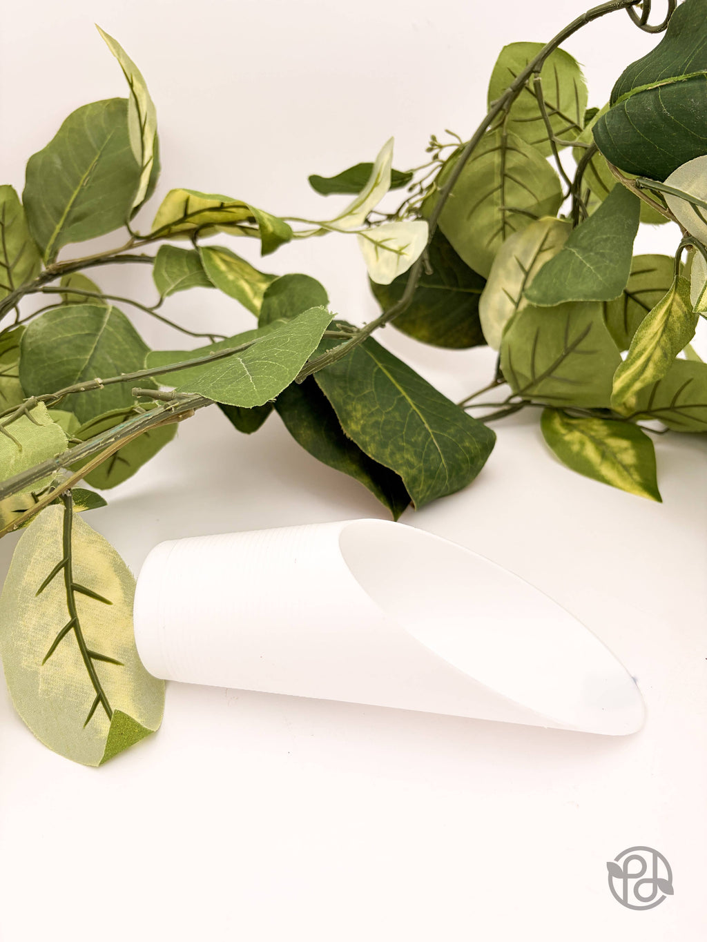 Plant Scoop