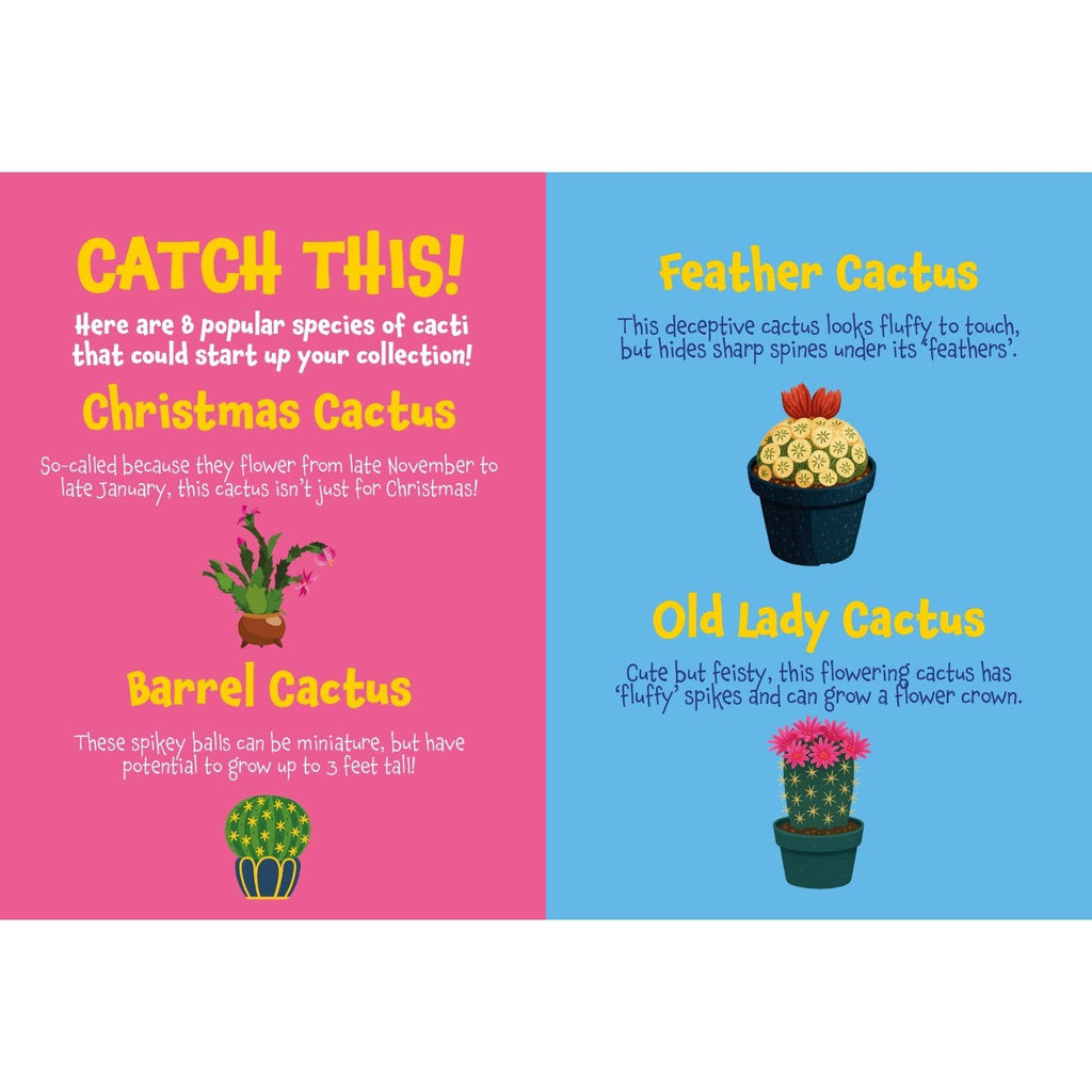 Prickly Guide to Caring for Cacti & Succulents
