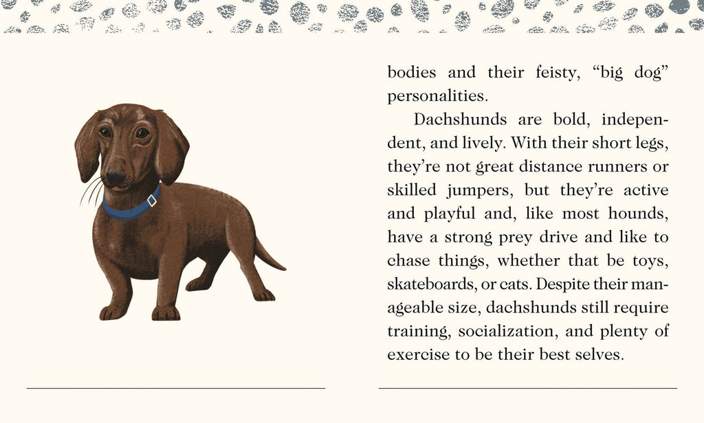 For The Love Of Dogs: A Wooden Magnet Set
