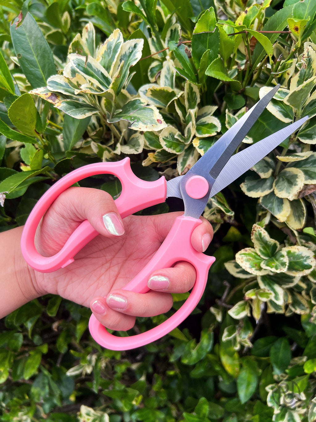 Pruning Shears