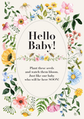 Hello Baby Blooms - Wildflower Seed Packets