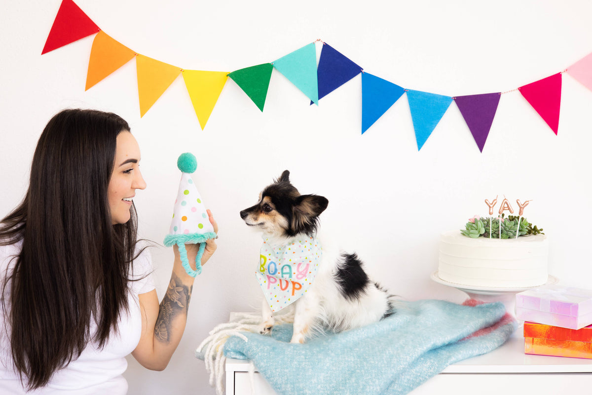 Dog Birthday Bandana and Hat Set, Birthday Pup, S/M