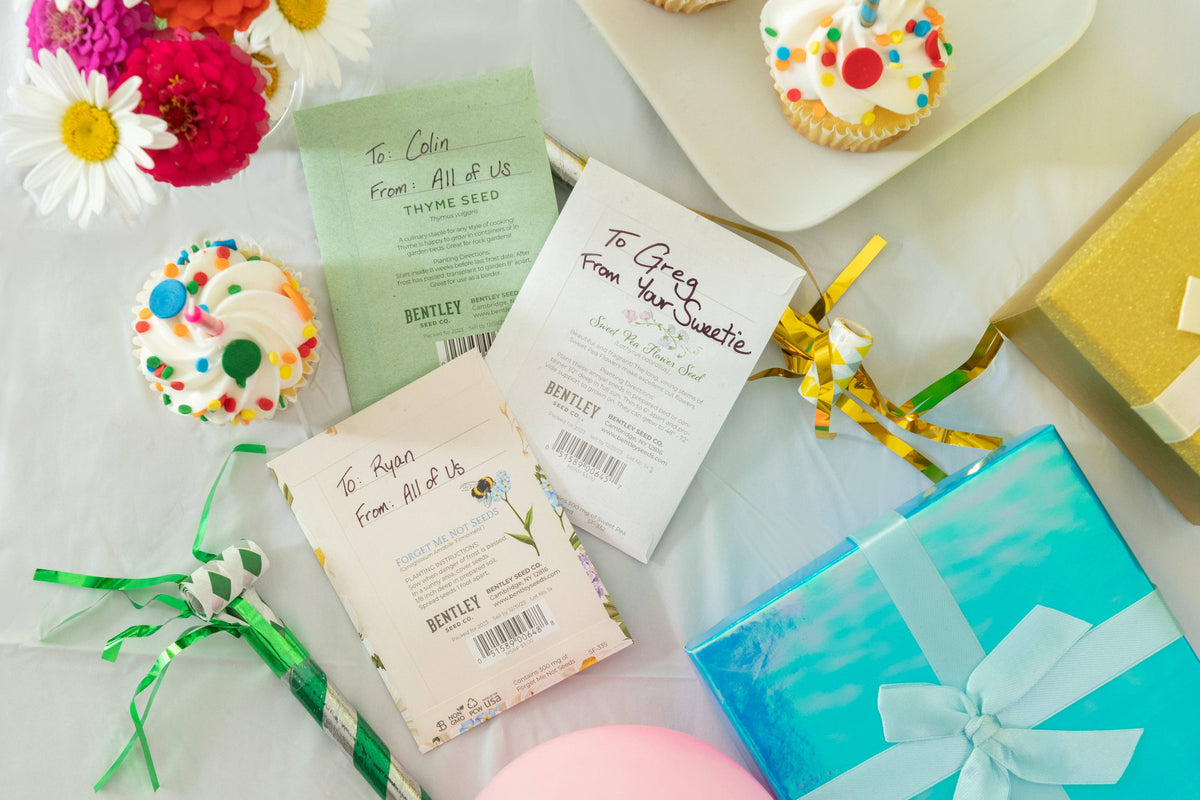 Happy Birthday - Bee - Forget Me Not Seed Packets