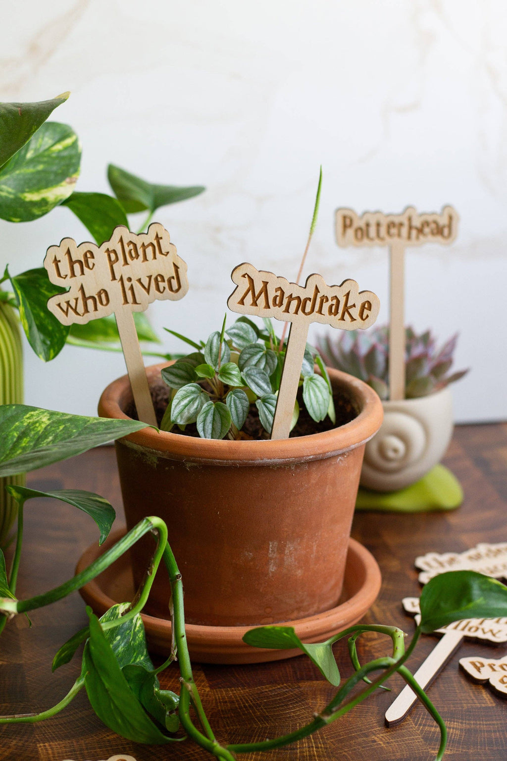 Harry Potter Wooden Plant Markers