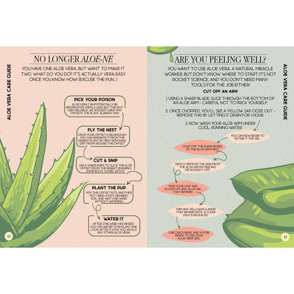 Houseplant Survival Guide Book - Plant Tips and Tricks